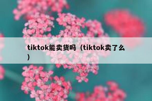tiktok能卖货吗(tiktok卖了么) 第1张 tiktok能卖货吗(tiktok卖了么) 第1张