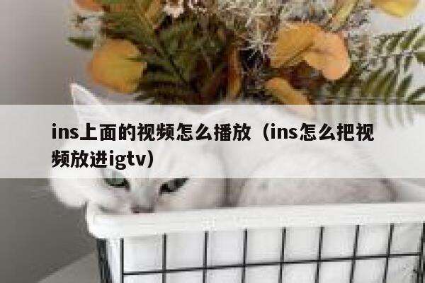 ins上面的视频怎么播放（ins怎么把视频放进igtv） 第1张