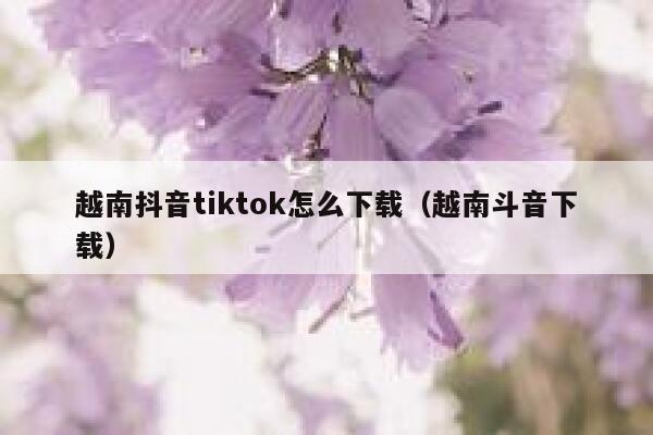 越南抖音tiktok怎么下载(越南斗音下载) 第1张 越南抖音tiktok怎么下载(越南斗音下载) 第1张
