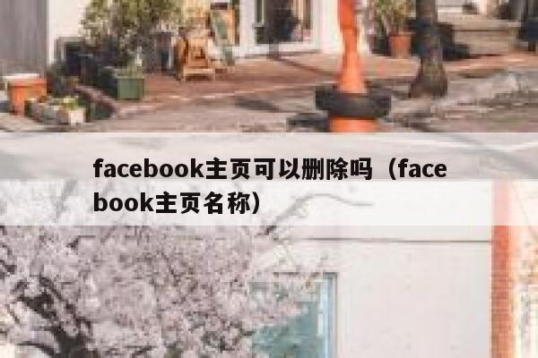 facebook主页可以删除吗（facebook主页名称） 第1张
