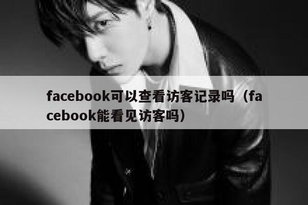 facebook可以查看访客记录吗（facebook能看见访客吗） 第1张