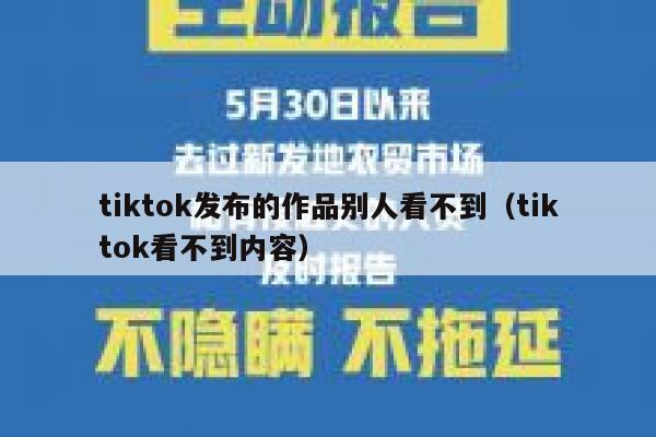 tiktok发布的作品别人看不到（tiktok看不到内容） 第1张