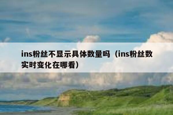 ins粉丝不显示具体数量吗（ins粉丝数实时变化在哪看） 第1张