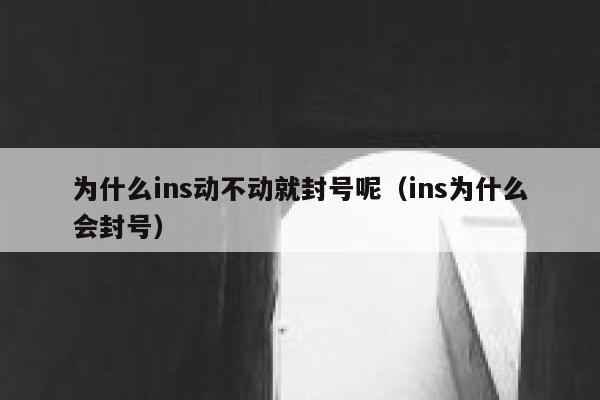 为什么ins动不动就封号呢（ins为什么会封号） 第1张
