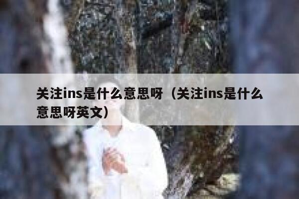 关注ins是什么意思呀（关注ins是什么意思呀英文） 第1张