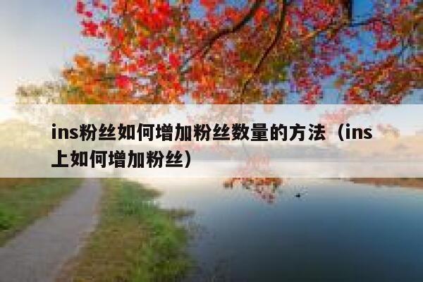 ins粉丝如何增加粉丝数量的方法(ins上如何增加粉丝) 第1张 ins粉丝如何增加粉丝数量的方法(ins上如何增加粉丝) 第1张