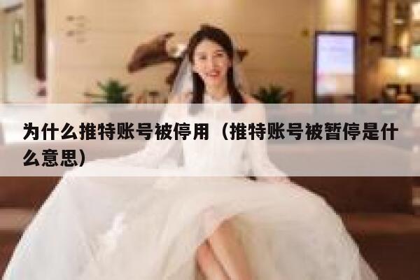 为什么推特账号被停用（推特账号被暂停是什么意思） 第1张