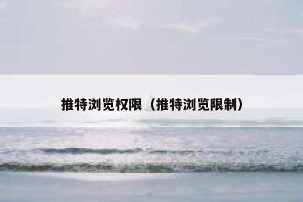 推特浏览权限（推特浏览限制） 第1张