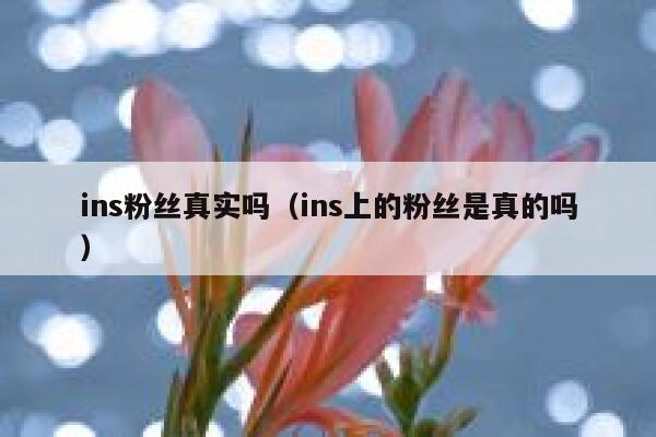 ins粉丝真实吗（ins上的粉丝是真的吗） 第1张