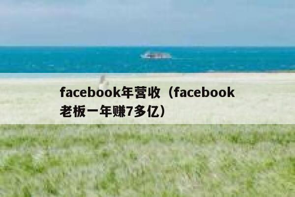 facebook年营收（facebook老板一年赚7多亿） 第1张