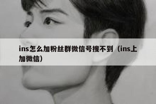 ins怎么加粉丝群微信号搜不到（ins上加微信） 第1张