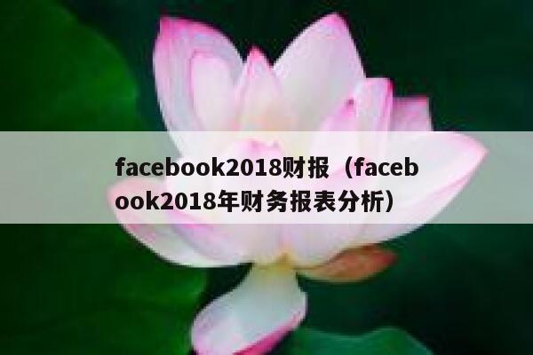 facebook2018财报(facebook2018年财务报表分析) 第1张 facebook2018财报(facebook2018年财务报表分析) 第1张