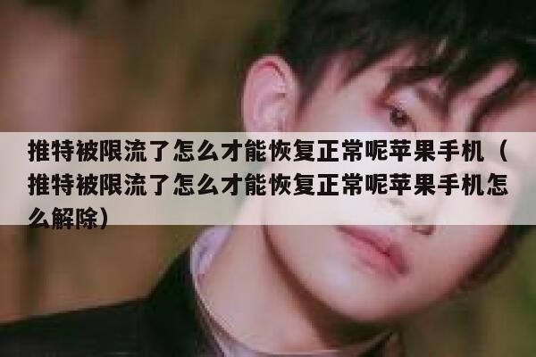 推特被限流了怎么才能恢复正常呢苹果手机（推特被限流了怎么才能恢复正常呢苹果手机怎么解除） 第1张
