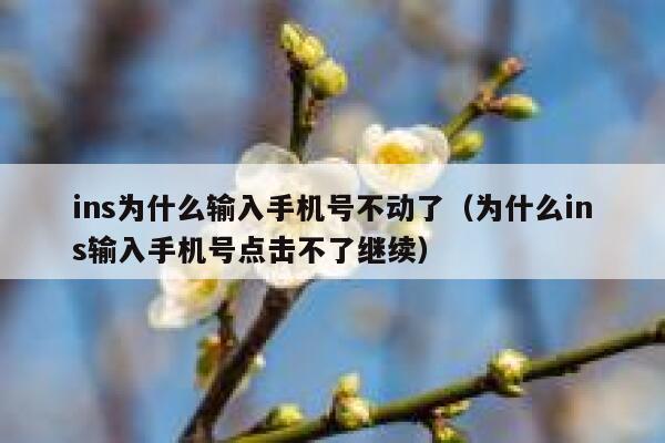 ins为什么输入手机号不动了(为什么ins输入手机号点击不了继续) 第1张 ins为什么输入手机号不动了(为什么ins输入手机号点击不了继续) 第1张