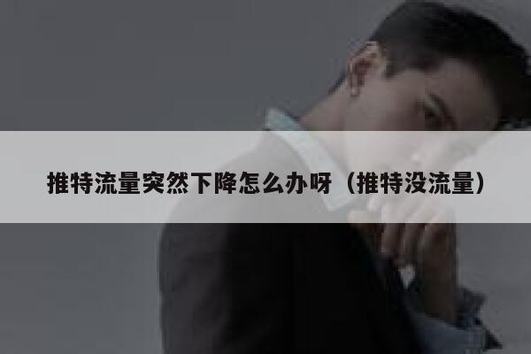 推特流量突然下降怎么办呀(推特没流量) 第1张 推特流量突然下降怎么办呀(推特没流量) 第1张