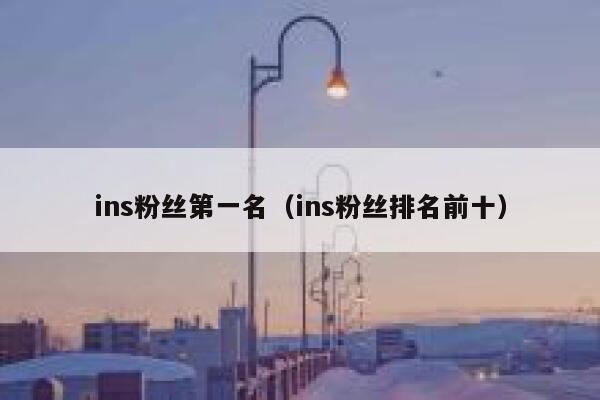 ins粉丝第一名(ins粉丝排名前十) 第1张 ins粉丝第一名(ins粉丝排名前十) 第1张