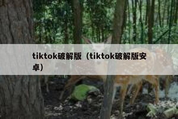tiktok破解版（tiktok破解版安卓） 第1张