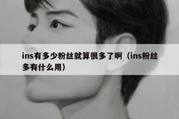 ins有多少粉丝就算很多了啊(ins粉丝多有什么用) 第1张 ins有多少粉丝就算很多了啊(ins粉丝多有什么用) 第1张