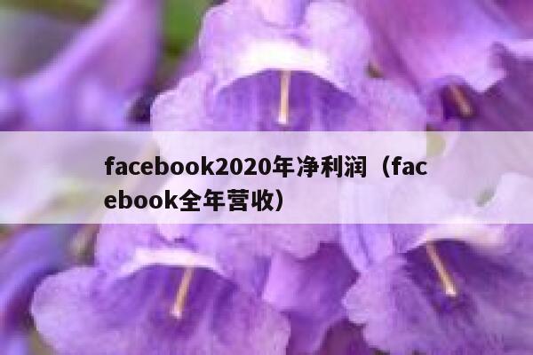 facebook2020年净利润（facebook全年营收） 第1张