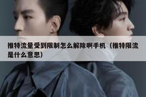 推特流量受到限制怎么解除啊手机（推特限流是什么意思） 第1张