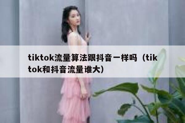 tiktok流量算法跟抖音一样吗（tiktok和抖音流量谁大） 第1张