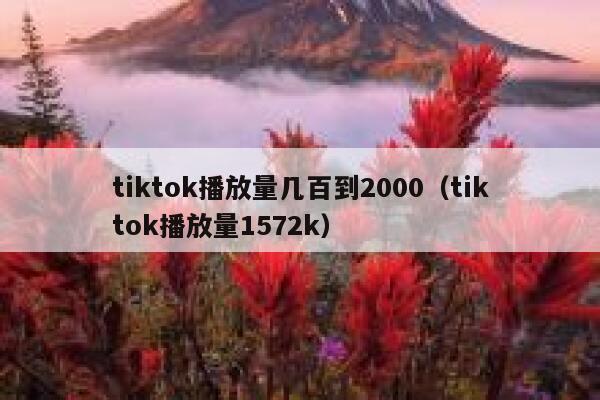 tiktok播放量几百到2000(tiktok播放量1572k) 第1张 tiktok播放量几百到2000(tiktok播放量1572k) 第1张