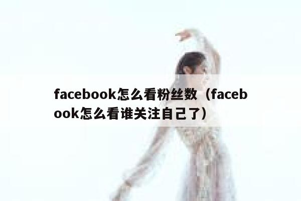 facebook怎么看粉丝数(facebook怎么看谁关注自己了) 第1张 facebook怎么看粉丝数(facebook怎么看谁关注自己了) 第1张