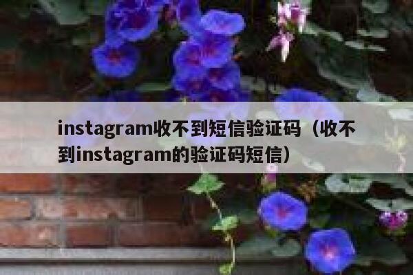 instagram收不到短信验证码（收不到instagram的验证码短信） 第1张