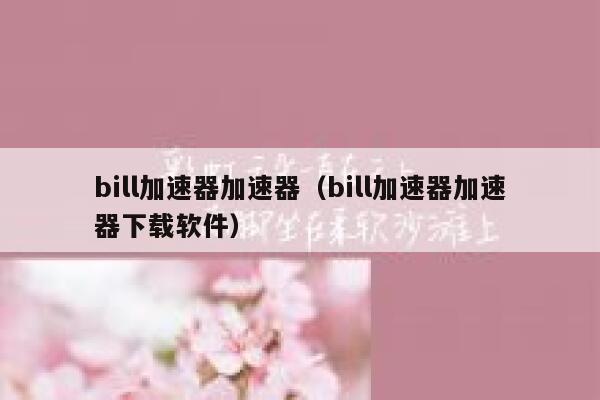 bill加速器加速器（bill加速器加速器下载软件） 第1张