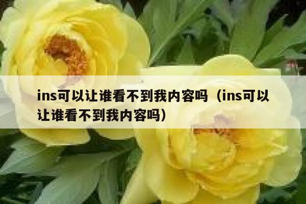 ins可以让谁看不到我内容吗（ins可以让谁看不到我内容吗） 第1张