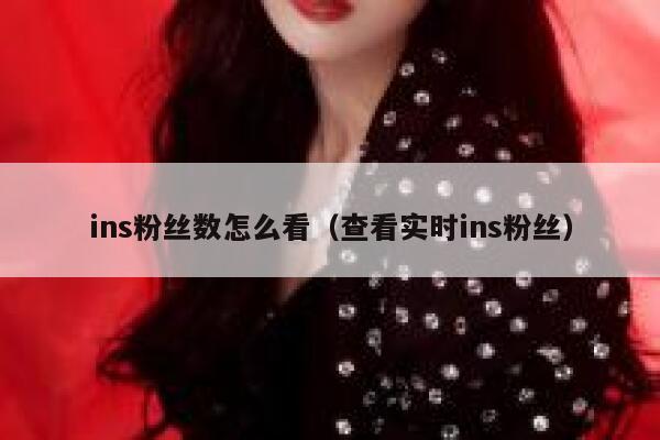 ins粉丝数怎么看（查看实时ins粉丝） 第1张