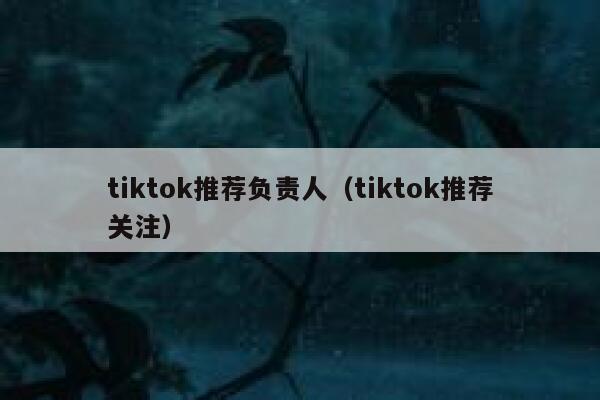 tiktok推荐负责人（tiktok推荐关注） 第1张