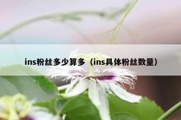 ins粉丝多少算多(ins具体粉丝数量) 第1张 ins粉丝多少算多(ins具体粉丝数量) 第1张