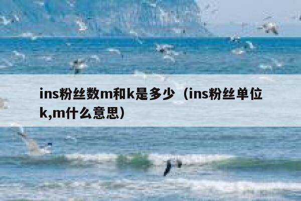 ins粉丝数m和k是多少（ins粉丝单位k,m什么意思） 第1张