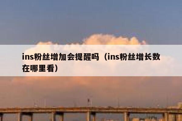 ins粉丝增加会提醒吗（ins粉丝增长数在哪里看） 第1张
