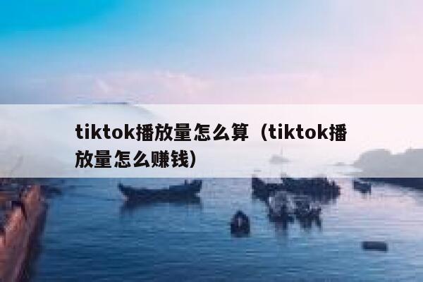 tiktok播放量怎么算（tiktok播放量怎么赚钱） 第1张