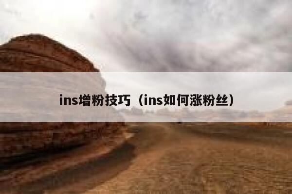ins增粉技巧(ins如何涨粉丝) 第1张 ins增粉技巧(ins如何涨粉丝) 第1张