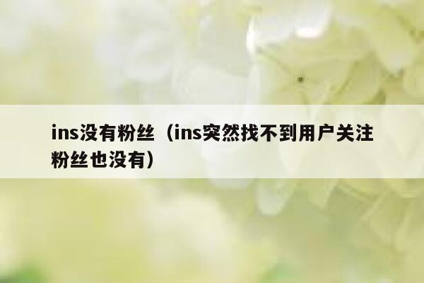 ins没有粉丝（ins突然找不到用户关注粉丝也没有） 第1张