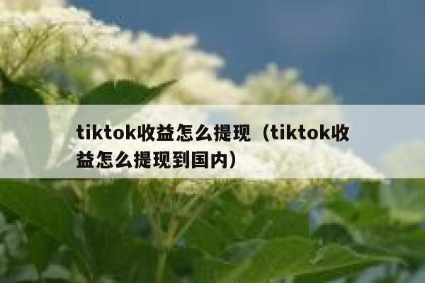 tiktok收益怎么提现（tiktok收益怎么提现到国内） 第1张