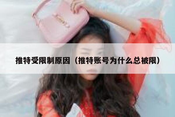 推特受限制原因（推特账号为什么总被限） 第1张