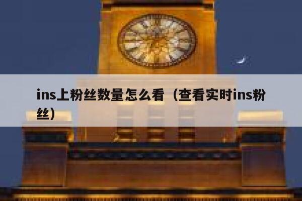 ins上粉丝数量怎么看（查看实时ins粉丝） 第1张