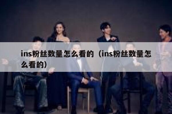 ins粉丝数量怎么看的（ins粉丝数量怎么看的） 第1张