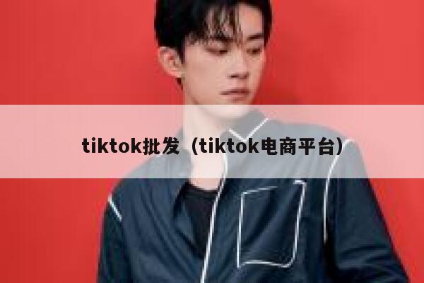 tiktok批发（tiktok电商平台） 第1张