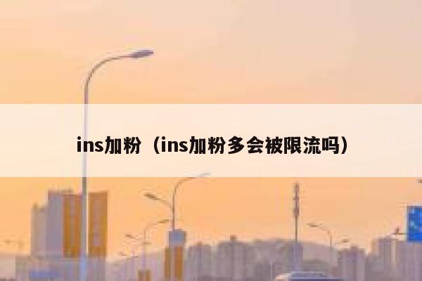 ins加粉（ins加粉多会被限流吗） 第1张