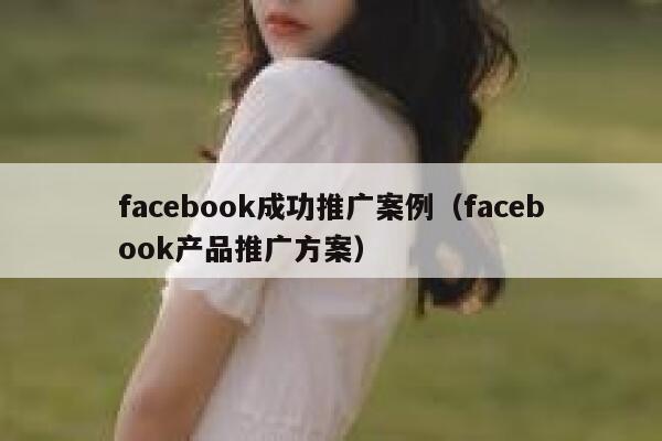 facebook成功推广案例（facebook产品推广方案） 第1张