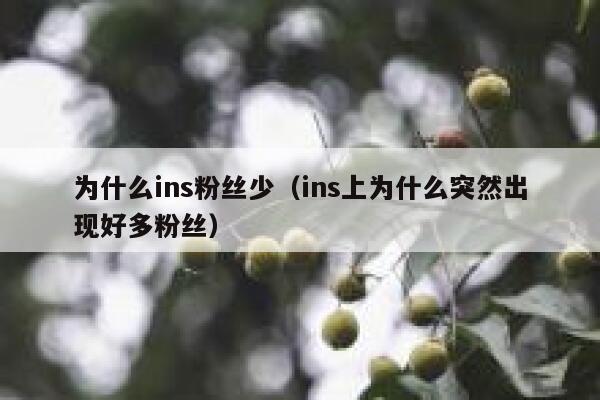为什么ins粉丝少(ins上为什么突然出现好多粉丝) 第1张 为什么ins粉丝少(ins上为什么突然出现好多粉丝) 第1张