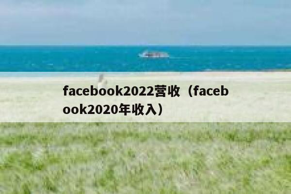 facebook2022营收(facebook2020年收入) 第1张 facebook2022营收(facebook2020年收入) 第1张