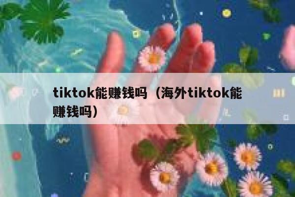 tiktok能赚钱吗（海外tiktok能赚钱吗） 第1张
