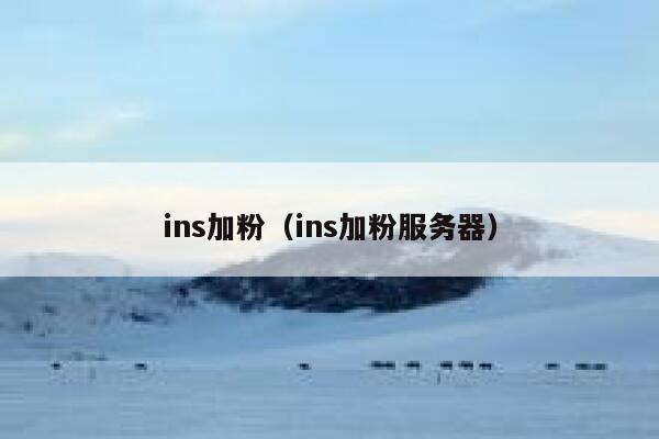 ins加粉（ins加粉服务器） 第1张