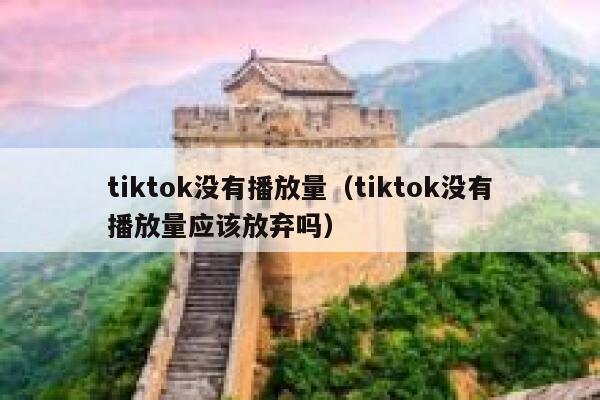 tiktok没有播放量（tiktok没有播放量应该放弃吗） 第1张